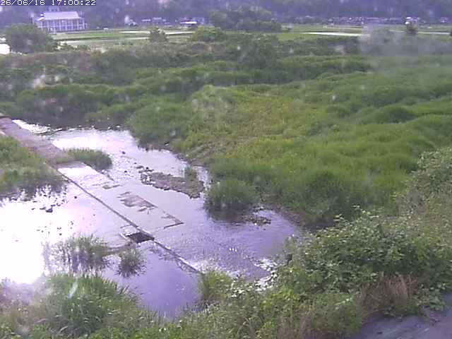 河内川２2026/06/17 12:00:00