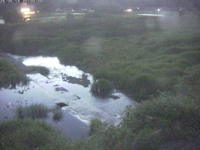 河内川２2026/06/17 12:00:00