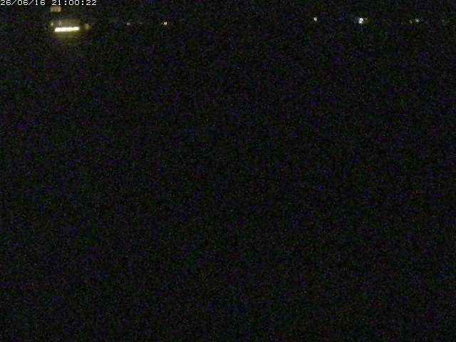 河内川２2026/06/17 12:00:00