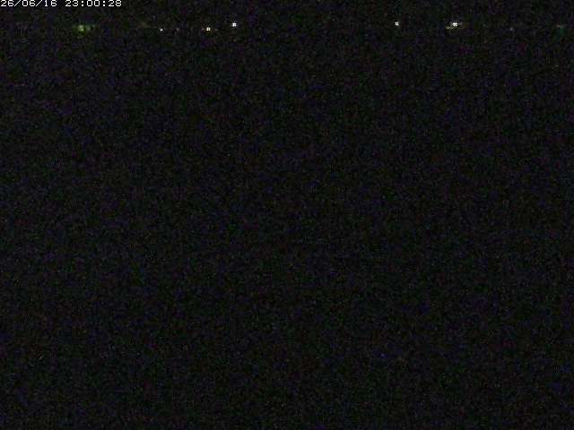 河内川２2026/06/17 12:00:00