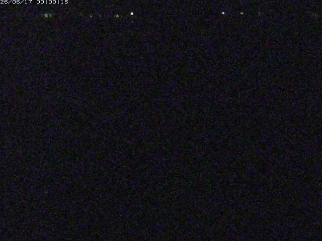 河内川２2026/06/17 12:00:00