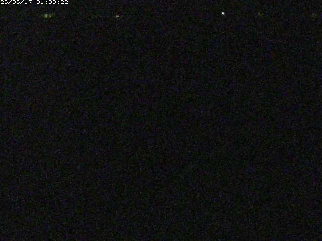 河内川２2026/06/17 12:00:00