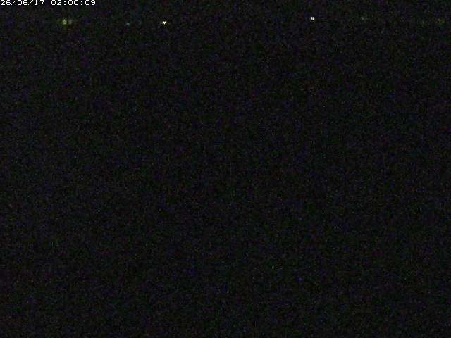 河内川２2026/06/17 12:00:00