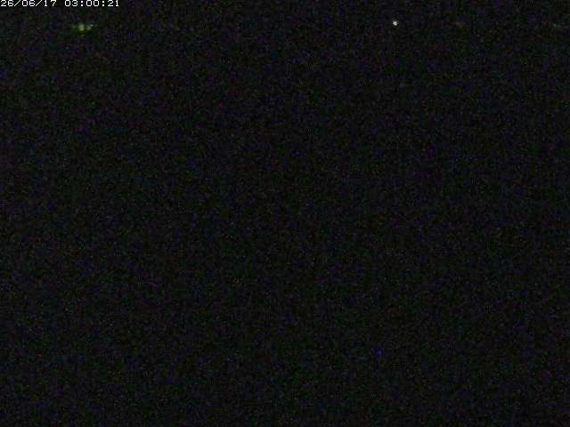 河内川２2026/06/17 12:00:00