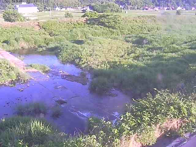 河内川２2026/06/17 12:00:00