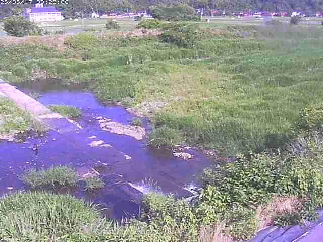 河内川２2026/06/17 12:00:00