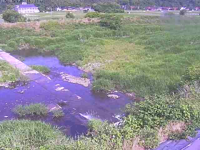 河内川２2026/06/17 12:00:00