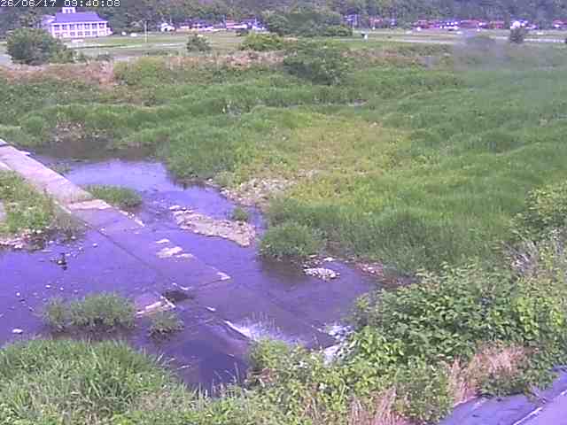 河内川２2026/06/17 12:00:00