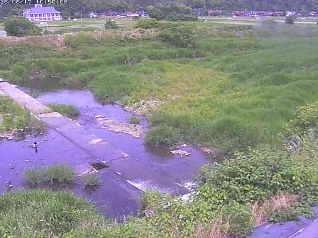 河内川２2026/06/17 12:00:00