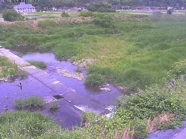 河内川２2026/06/17 12:00:00