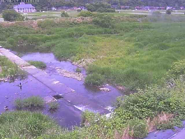 河内川２2026/06/17 12:00:00