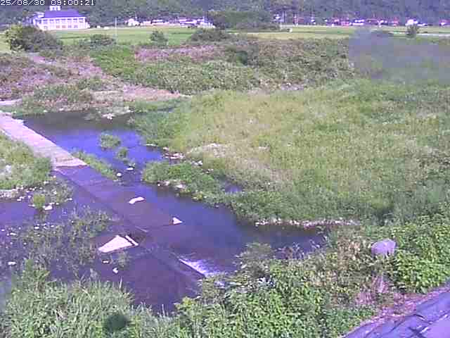 河内川２2025/08/31 9:10:00