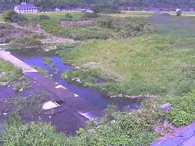 河内川２2025/08/31 9:10:00