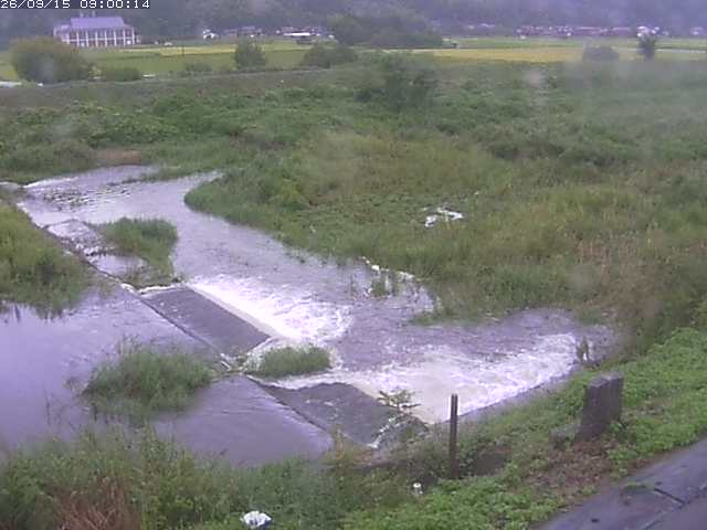河内川２2026/09/15 15:40:00