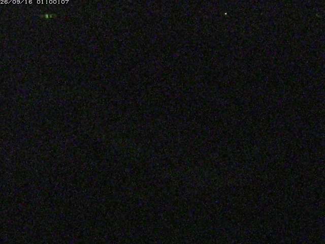 河内川２2026/09/16 16:40:00