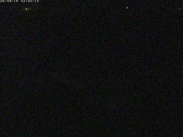 河内川２2026/09/16 16:40:00