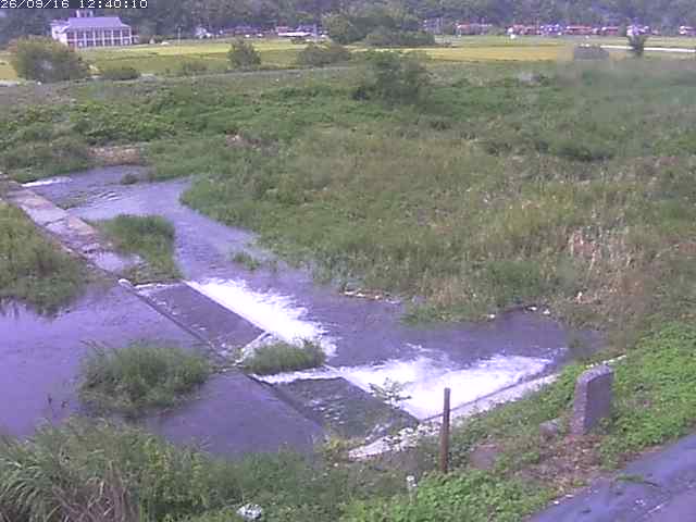 河内川２2026/09/16 16:40:00