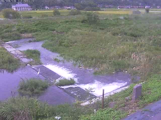 河内川２2026/09/16 16:40:00