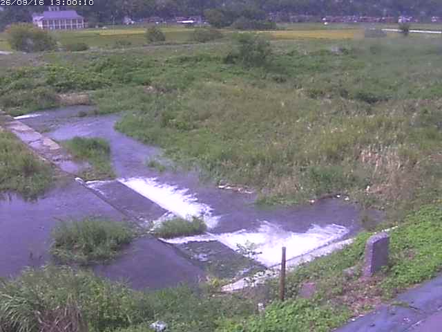 河内川２2026/09/16 16:40:00