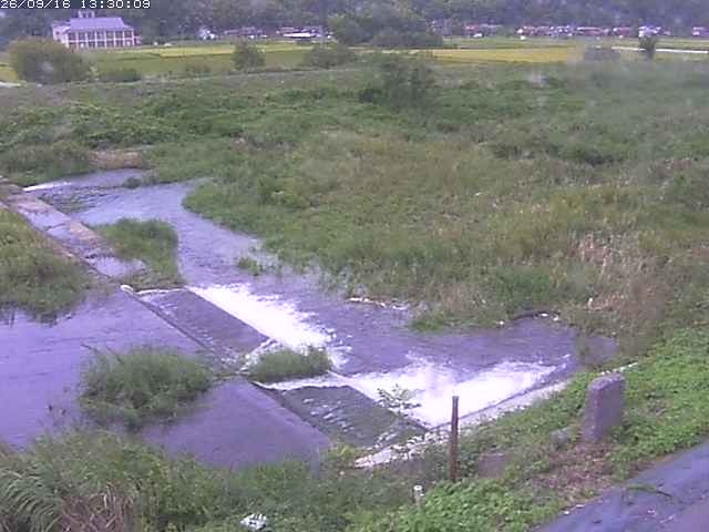 河内川２2026/09/16 16:40:00