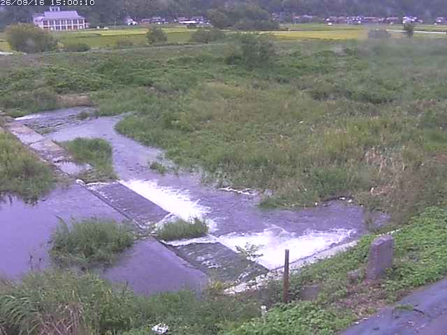 河内川２2026/09/16 16:40:00