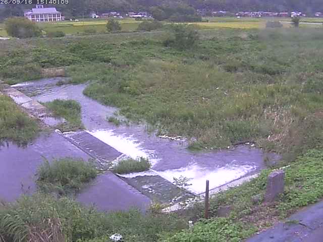 河内川２2026/09/16 16:40:00