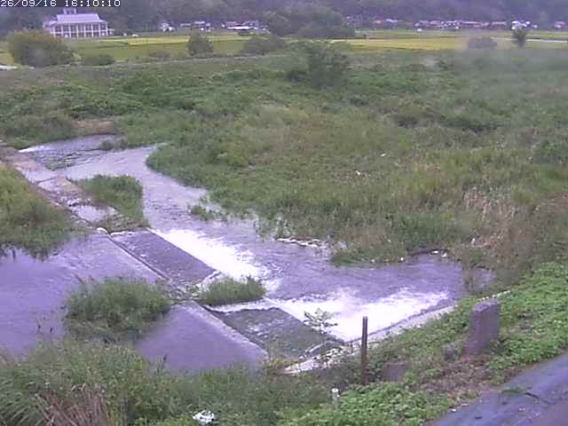 河内川２2026/09/16 16:40:00