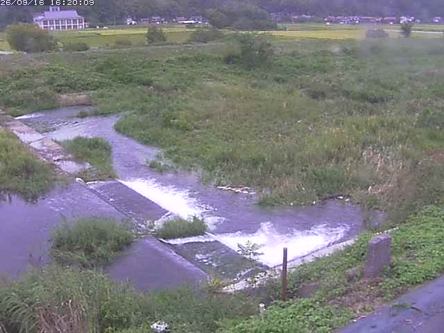 河内川２2026/09/16 16:40:00