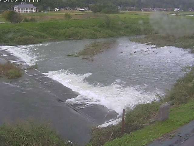 河内川２2025/10/22 11:20:00