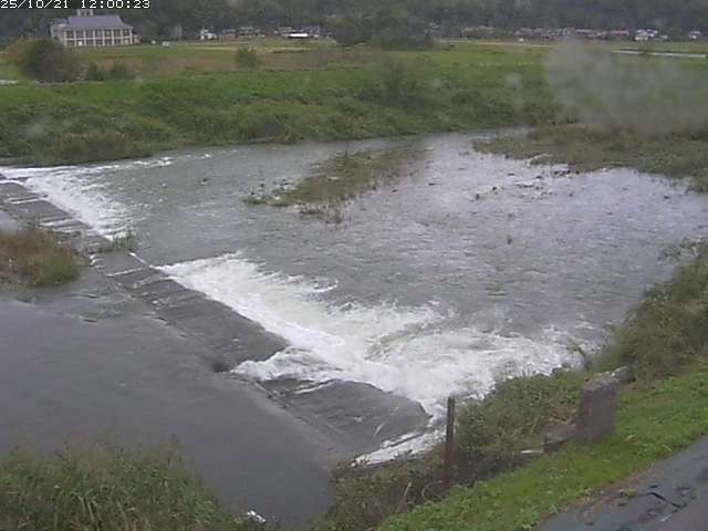 河内川２2025/10/22 11:20:00