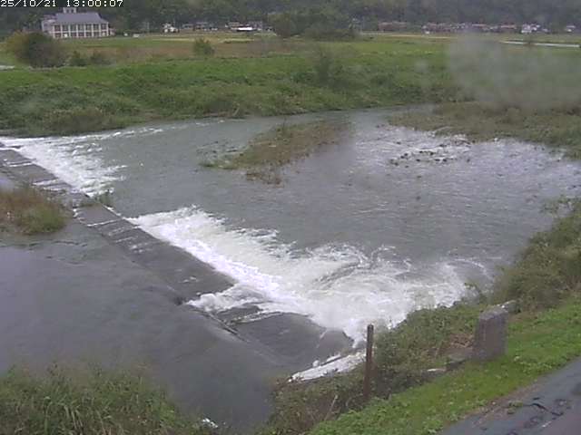 河内川２2025/10/22 11:20:00
