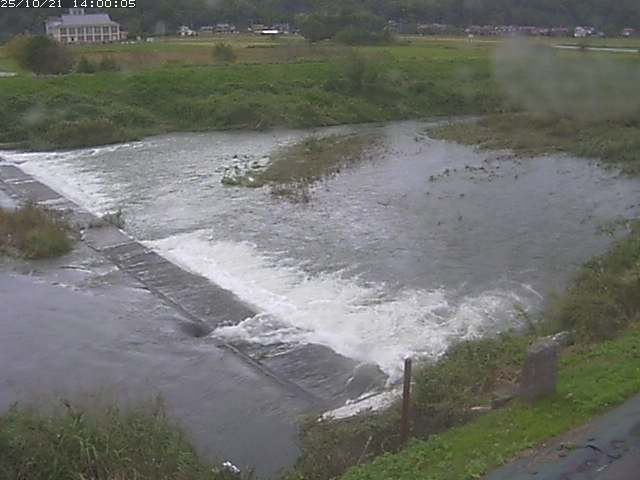 河内川２2025/10/22 11:20:00