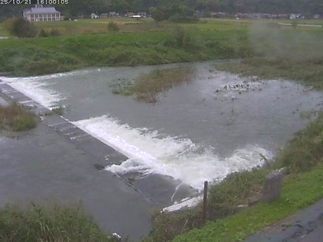 河内川２2025/10/22 11:20:00