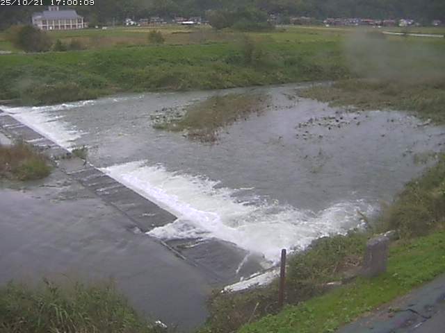 河内川２2025/10/22 11:20:00