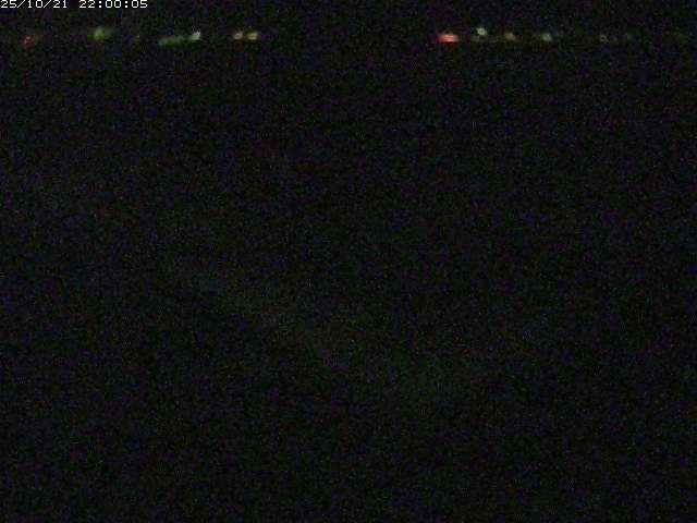 河内川２2025/10/22 11:20:00