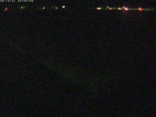河内川２2025/10/22 11:20:00