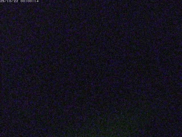 河内川２2025/10/22 11:20:00