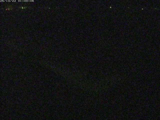 河内川２2025/10/22 11:20:00
