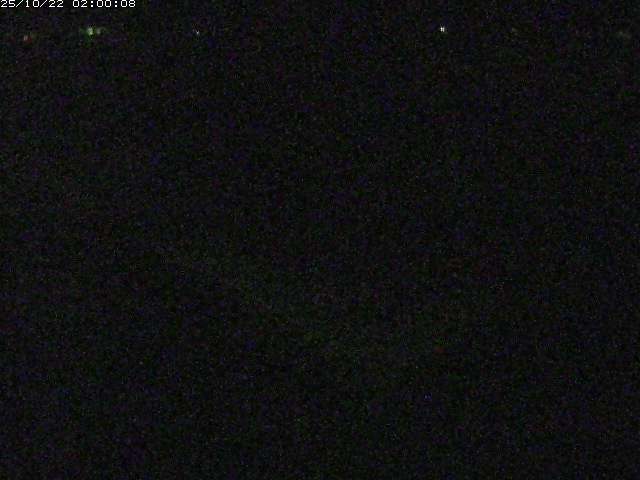 河内川２2025/10/22 11:20:00