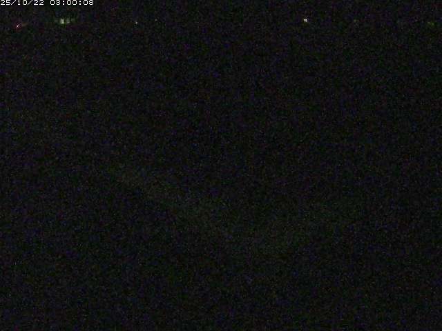 河内川２2025/10/22 11:20:00