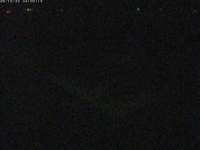 河内川２2025/10/22 11:20:00