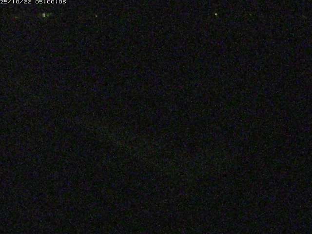 河内川２2025/10/22 11:20:00