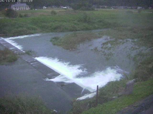 河内川２2025/10/22 11:20:00