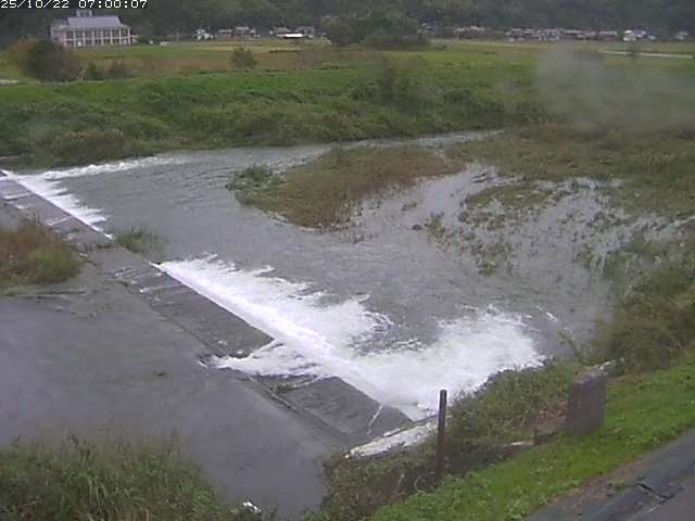 河内川２2025/10/22 11:20:00