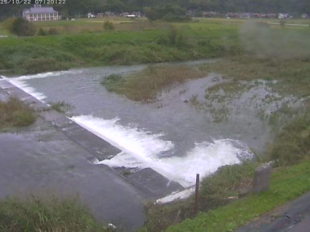 河内川２2025/10/22 11:20:00