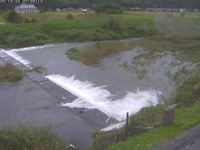 河内川２2025/10/22 11:20:00