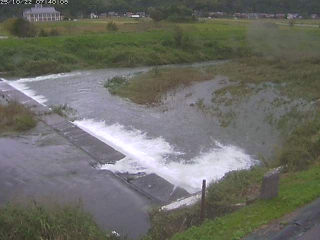 河内川２2025/10/22 11:20:00