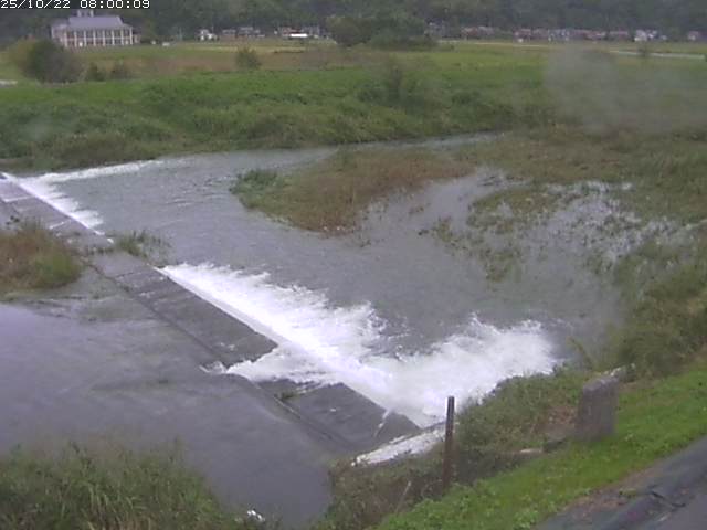 河内川２2025/10/22 11:20:00