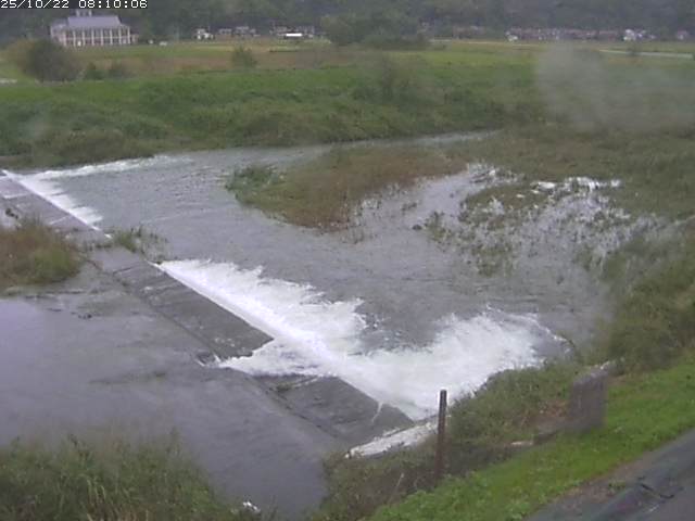 河内川２2025/10/22 11:20:00