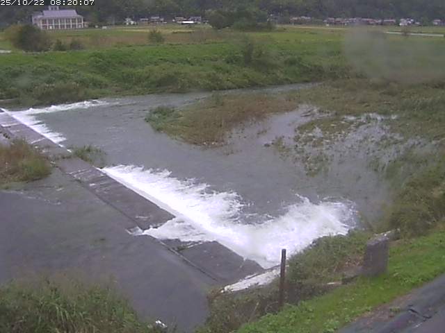 河内川２2025/10/22 11:20:00